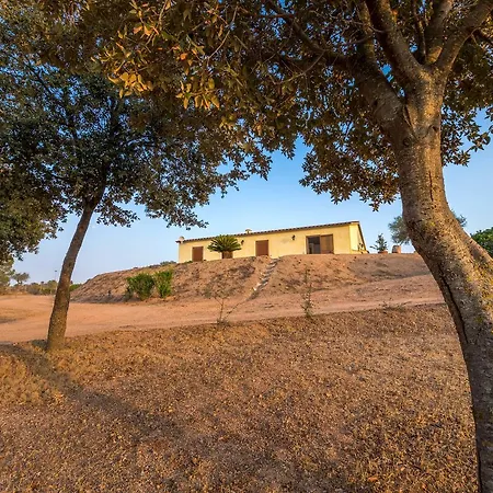 Molti Mari أولبيا